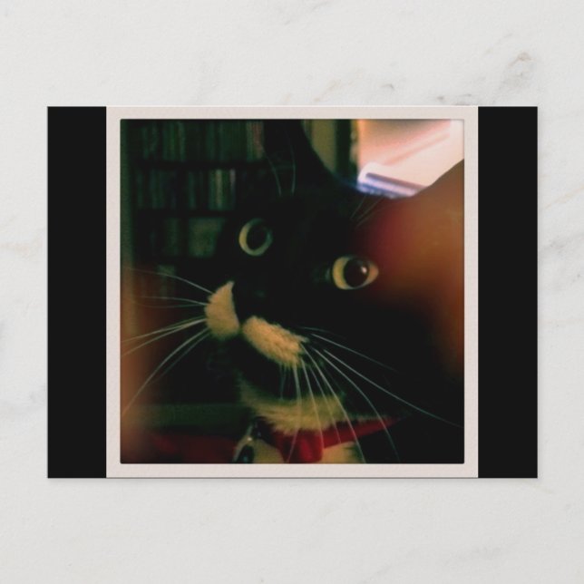 Postal El cierre de Lucy (Anverso)