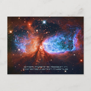 Postal El cignus cignoso, el cisne estrella en Constellat