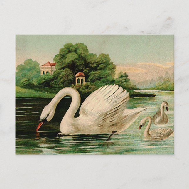 Postal El cisne vintage en el lago (Anverso)