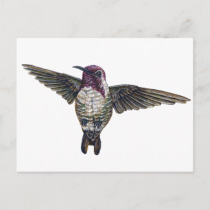 Postal El colibrí