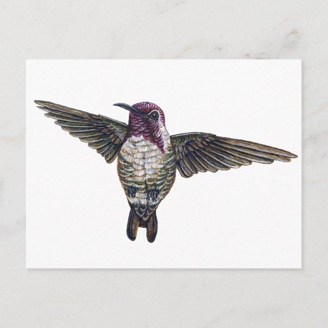 Postal El colibrí (Anverso)