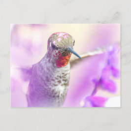 Postal El colibrí de Anna Rosa vuela sobre flores moradas