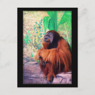 Postal El Contemplador - Postcard