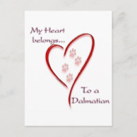 El corazón de Dalmacia pertenece