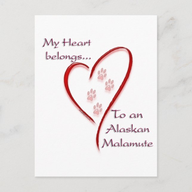 Postal El corazón de Malamute de Alaskan pertenece (Anverso)