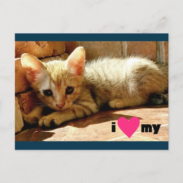 Postal El corazón de mi gato (Anverso)