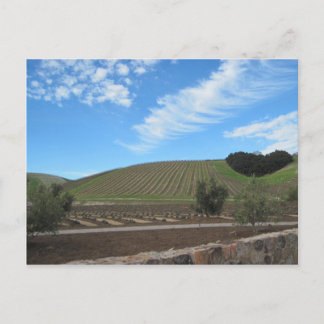 Postal El corazón del país vinícola de Paso Robles