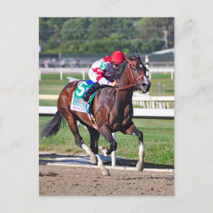 Postal El Cotillón 2016