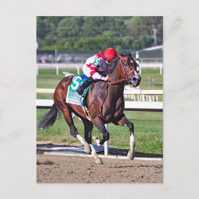 Postal El Cotillón 2016 (Anverso)