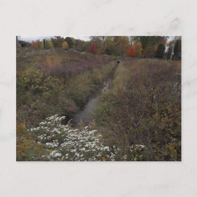 Postal El Creek (Anverso)