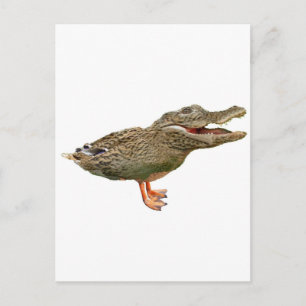 Postal El Crocoduck con pies