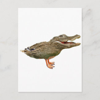 Postal El Crocoduck con pies