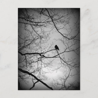 Postal El cuervo