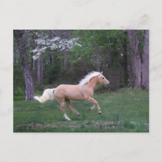 Postal El cuidado libera