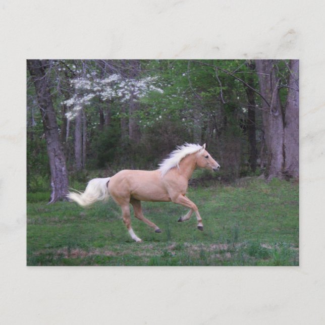 Postal El cuidado libera (Anverso)