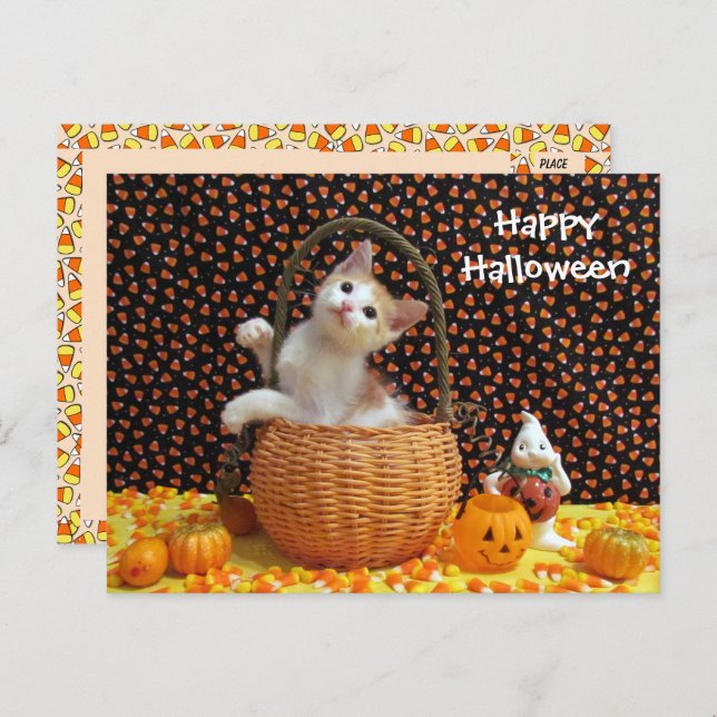 Postal El curioso gato de Halloween de Annie (Anverso / Reverso)