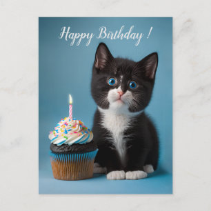 Postal El Cute Tuxedo Kitten Tiene Un Pastel De Cumpleaño