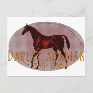 Postal El Darley Arabian