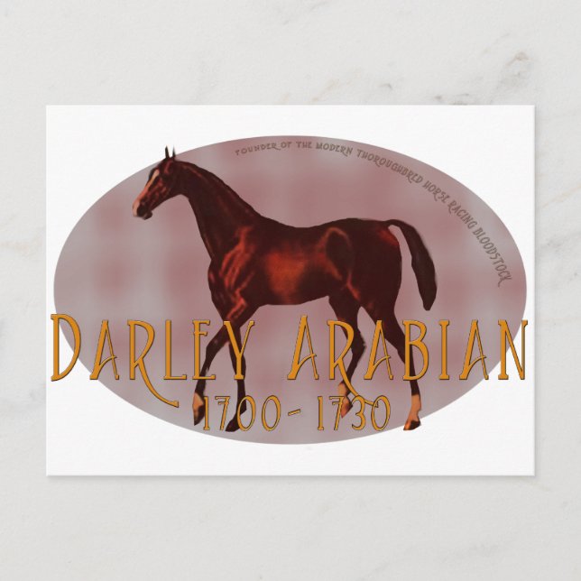 Postal El Darley Arabian (Anverso)