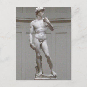 Postal El David