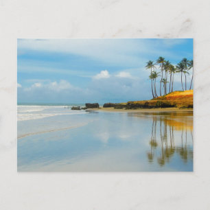 Postal El destino costero de la playa tropical de palmera