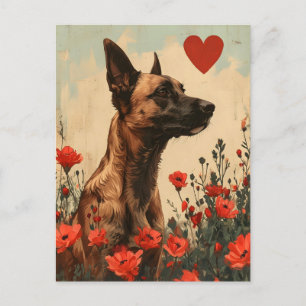 Postal El día de San Valentín belga malinois vintage