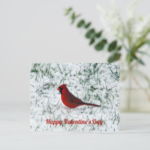 Postal El día de San Valentín Cardinal