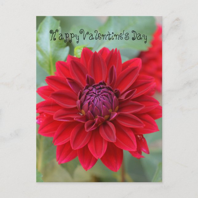 postal el día de San Valentín con dahlia roja (Anverso)