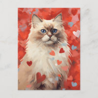 El día de San Valentín de Birman cat