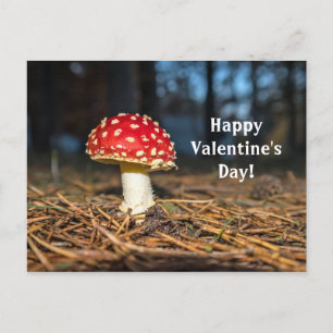 Postal El día de San Valentín de hongos rojos