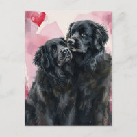 El día de San Valentín de perros de Terranova