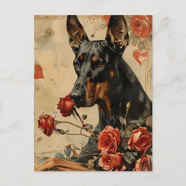 Postal El día de San Valentín Doberman Vintage (Anverso)