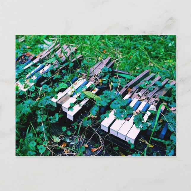 Postal "El día en que la música murió" - Piano - Postcard (Anverso)