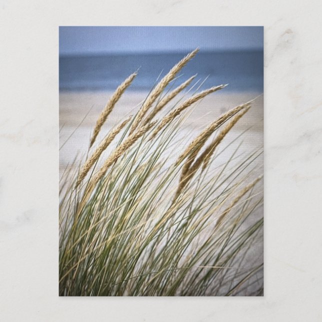 Postal El día flojo en la playa (Anverso)