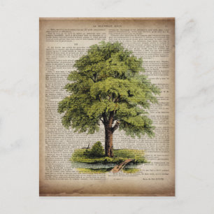 Postal El diccionario ECO Earth Day imprime el roble vint