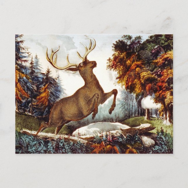 Postal El disparo de la muerte (Anverso)