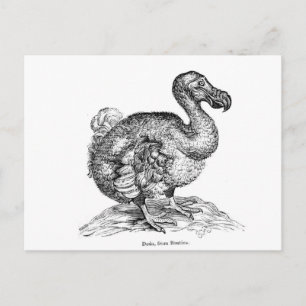 Postal El Dodo
