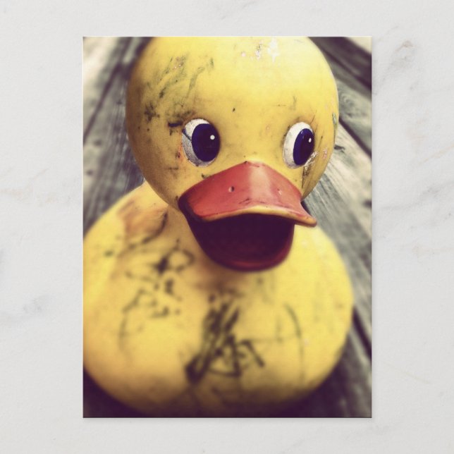 Postal ¡El Ducky de Goma Amarillo necesita un baño! (Anverso)