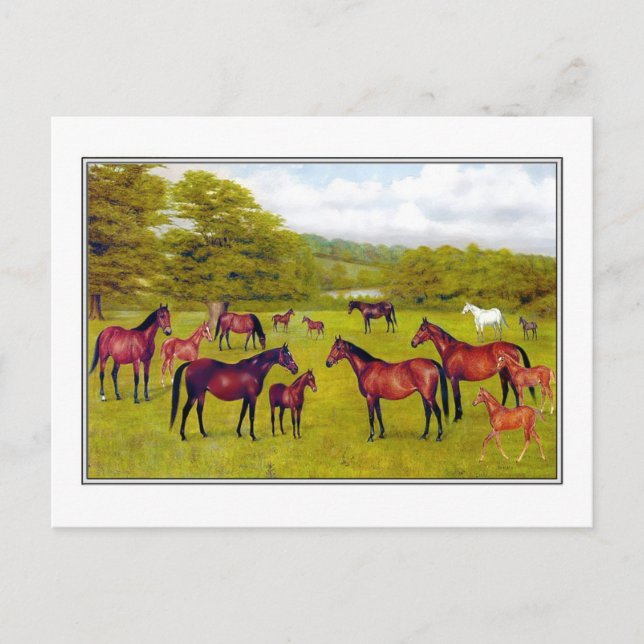 Postal El duque de las Mares y el Ternera de Westminster (Anverso)