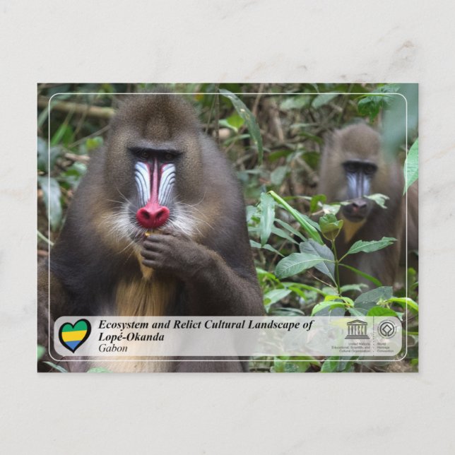 Postal El ecosistema y el paisaje cultural de Lopé-Okanda (Anverso)