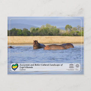 Postal El ecosistema y el paisaje cultural de Lopé-Okanda