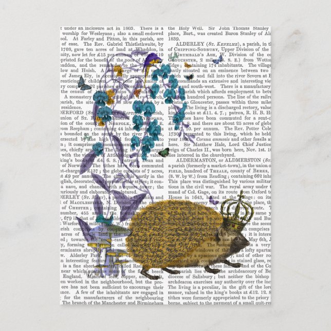 Postal El edgehog de oro (Anverso)