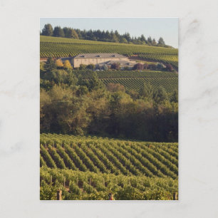 Postal El edificio de bronceado de Archery Summit se encu