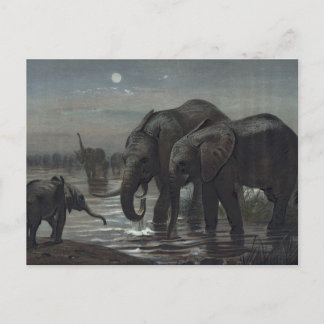 Postal El elefante africano de Joseph Wolf
