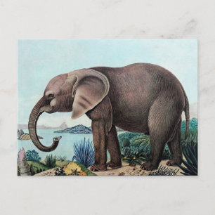 Postal El elefante africano Der Afrikanische