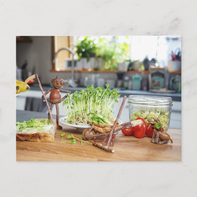 Postal El elfo de maíz está cosechando hierbas verdes en  (Anverso)