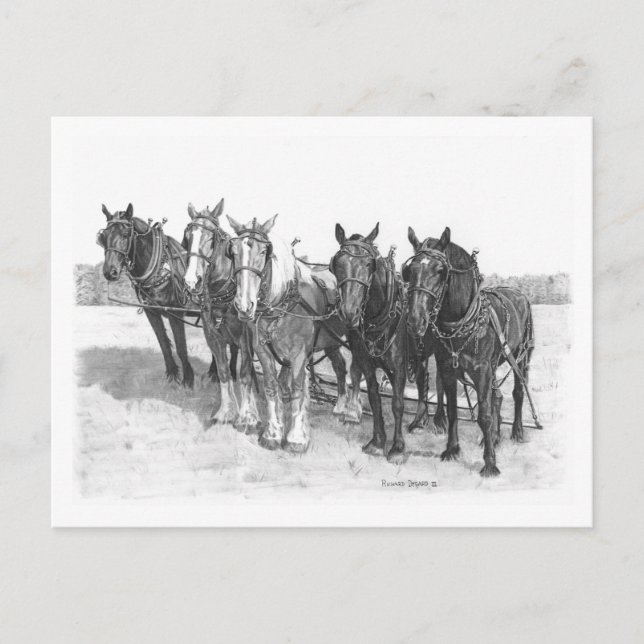 Postal El equipo (Anverso)