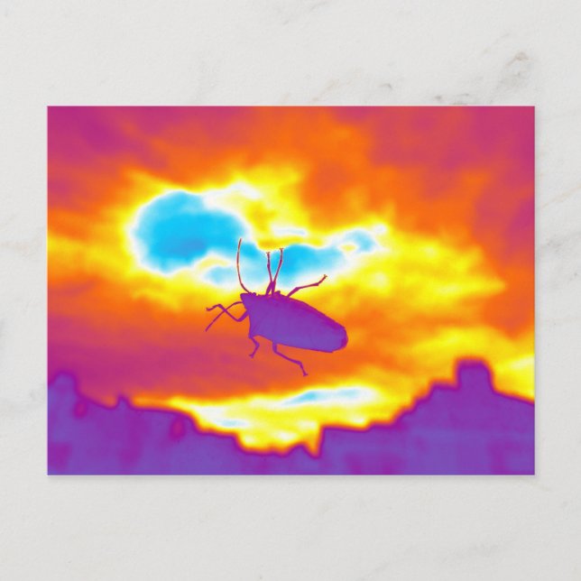 Postal El error psicodélico (Anverso)