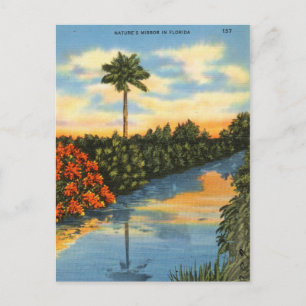 Postal El espejo de la naturaleza en Florida