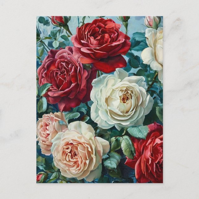 Postal El esplendor rosado. Un ramo de rosas florido. (Anverso)